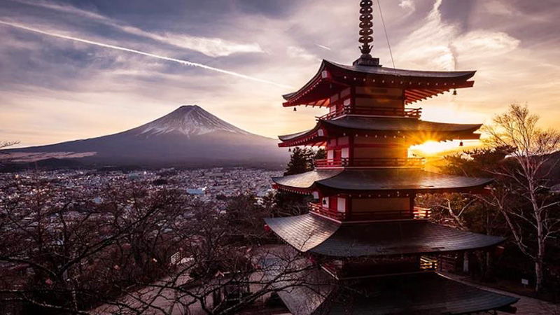 ETSC Japan